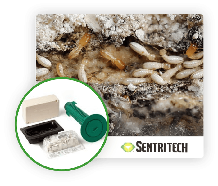 Tarmes distribuidor oficial SentriTech